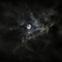 Ночная луна :: Дарья Подолянець
