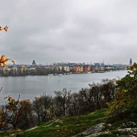Осень в Стокгольме-9. :: Владимир Михайлович Дадочкин