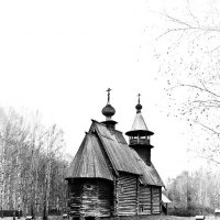 Музей деревянного зодчества (Костромская слобода) :: Александр Агеев