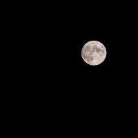 moon :: Сергей Романенко