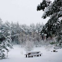 Зимова "Лісова казка" :: Farernik 