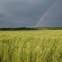 Радуга :: Денис Щербак