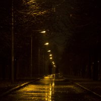 Осенняя ночь :: Екатерина Маринина