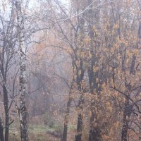 November rain :: Lilittt К