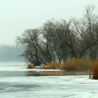 Зимний  Днепр. :: Николай   Тесля 