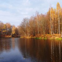 Дивная осень.. :: Антонина Гугаева