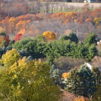 Осень в Пенсилвании :: Yevgeniya Lucky