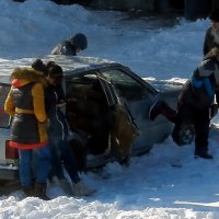 Сегодняшний день в нашем дворе прошел намного спокойнее)). :: Николай Сапегин