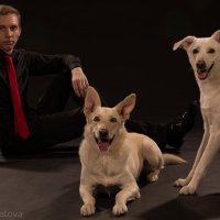 Сева с собаками :: Любовь Советова