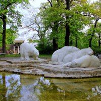 в берлинском зоопарке :: Ольга 