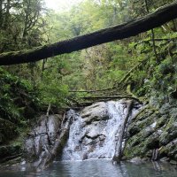Водопад в сказочном лесу :: Damir Si