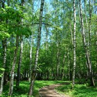 Завтра был День Победы :: Андрей Лукьянов