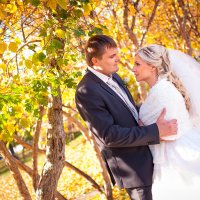Теплая свадьба :: ирина шалагина