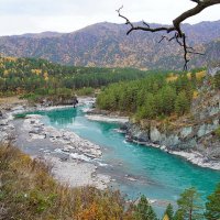 Катунь. Устье речки Чемал :: Виктор Четошников