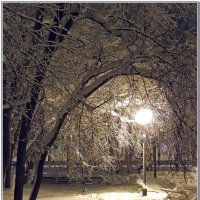 Свет ночных фонарей :: Николай Дементьев 