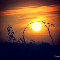 Восход солнца :: Nazar Guziy