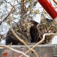 ... и с высоты вам шлю привет. :: Игорь Попов