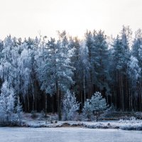 Отдых :: Валентин Щербаков