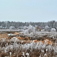 начало зимы :: ганичев алексей 