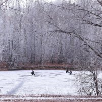 Cказки ноября :: Татьяна Ломтева