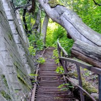 Старая заброшенная лестница :: Сергей Гундарь