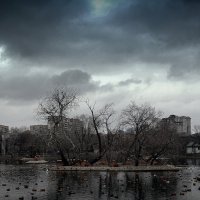 Осенний пруд :: Alexei Kopeliovich