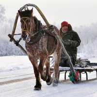 Морозный день. :: Константин 