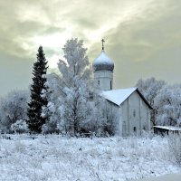 Зимний полдень :: Евгений Никифоров