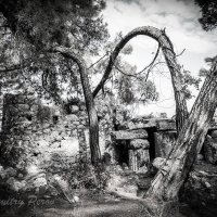 Руины храма Апполона :: Дмитрий Перов