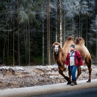 Неожиданная встреча... :: Александр Никитинский