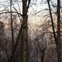 "Прозрачный лес один чернеет..." :: Светлана Лысенко