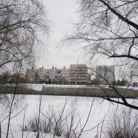 Мой город зимой :: раиса Орловская