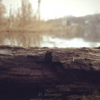 The lake :: Дмитрий Артемов