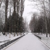 В парке Политеха :: Анатолий Бугаев