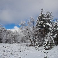 Зимние прогулки :: Мария Парамонова