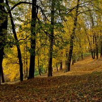 .... :: Валентина Харламова