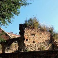 развалины Римини, Италия :: Елена Познокос