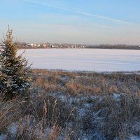 Озеро замерзло. :: Алексей Крупенников