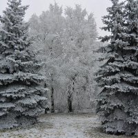 Завтра зима... :: Лидия Рьянова