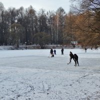 Скорее на лёд! :: Светлана Лысенко