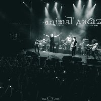 Animal ДжаZ :: Иван Ежов