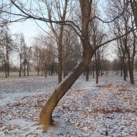 Парк Садовники зимой :: Юрий Бомштейн