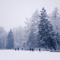 Первые лыжники :: Алёнка Шапран