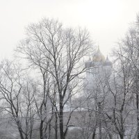 серебристый  первый  снег :: Valentina Lujbimova [lotos 5]
