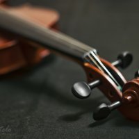 Violin :: JSotelo 