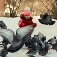 Зима :: Olga Shustova