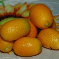 Китайские апельсины :: JW_overseer JW