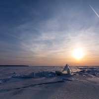 Южный берег Финского залива. :: Юрий 