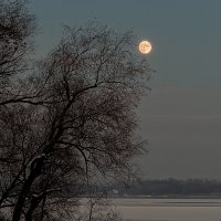 Не уходи, побудь со мною :: Юрий Афанасьевич .