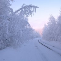 Зимняя дорога к солнцу. :: Алексей Хаустов